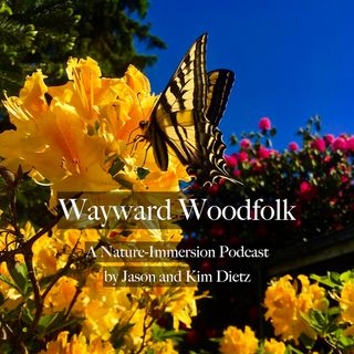 Wayward Woodfolk