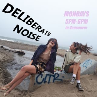 Deliberate Noise