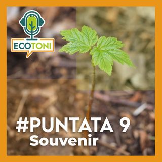 Puntata 9 - Souvenir