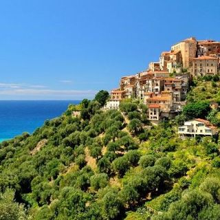 Le erbe del Cilento - Olga Sammauro intervista Tony Di Matteo ed Eleonora Zini