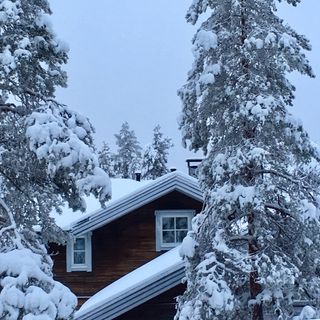 Christmas Morning in the Snow Land of Syöte, Finland