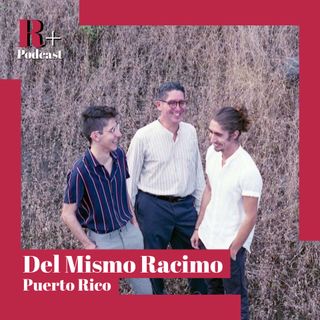 Entrevista Del Mismo Racimo (Puerto Rico)