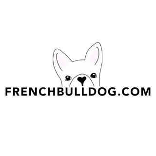 FrenchBulldog.com