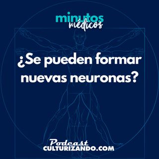 E30 • ¿Se pueden formar nuevas neuronas? • Medicina • Culturizando