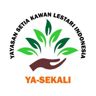 Yayasan Ya Sekali