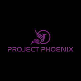Project Phoenix Ep.3 Ft. Chris | Entrepreneurship And The Comic Book Business
