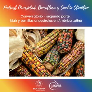 T2.E3.Conservación del patrimonio biocultural del maíz y de las semillas ancestrales en América Latina