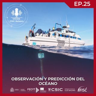 Observación y predicción del océano #25