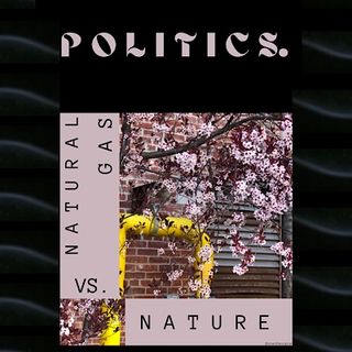 “Loud Conversation” | Volume 2 Live Narration “Politics”