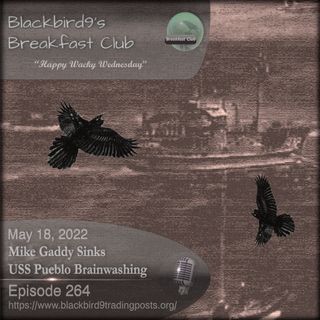 Mike Gaddy Sinks USS Pueblo Brainwashing - Blackbird9 Podcast