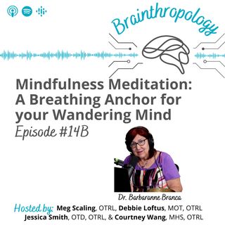 14B: Mindfulness Meditation: A Breathing Anchor for your Wandering Mind