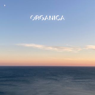 Organica - Dolcemente Elettronica