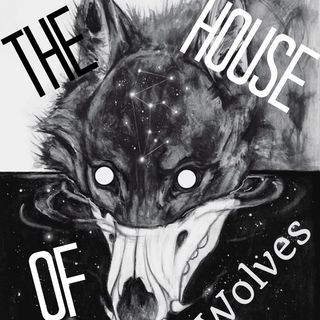 The Wolves Part TWO (life lessons learned the hard way)