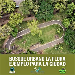 NUESTRO OXÍGENO Bosque urbano La Flora ejemplo para la ciudad