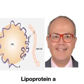 Lipoprotein a