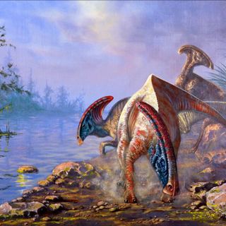 14 - Il ruggito dei Dinosauri è davvero come quello del T-rex di Jurassic Park? Ascoltalo qui!