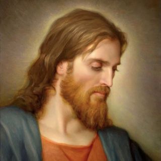 Red Bearded Mormon