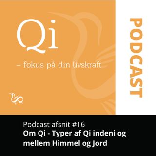 #16 - Om Qi indeni