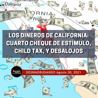 6. Los Dineros de California: Cuarto Cheque de Estímulo, Child Tax, y Desalojos| Ago. 30, 2021