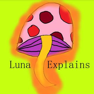 Luna Explains