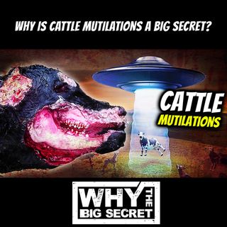Why are cattle mutilations a big secret?