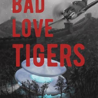 S01-E14: Kevin Schewe -  Bad Love Tigers, a sequel to Bad Love Strikes