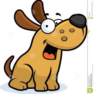Just Barks