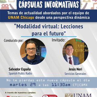 CLASES VIRTUALES LECCIÓN PARA EL FUTURO