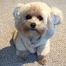 Katelyn Viglietta