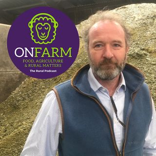Organic oilseed rape production in Aberdeenshire