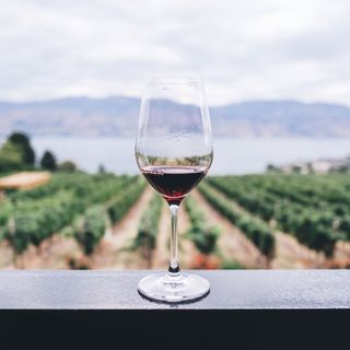 Zinfandel, Wine in Real Time, Episode 9