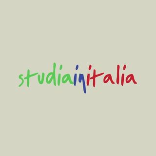 Intervista a Federica Baggiani di Studiainitalia.com
