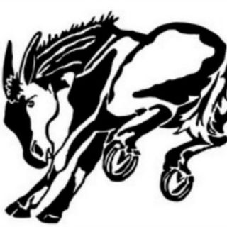 West 11 Sports - Muleshoe