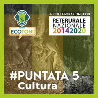 Puntata 5 - Cultura