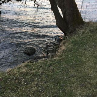Unerfolg Golfrenu