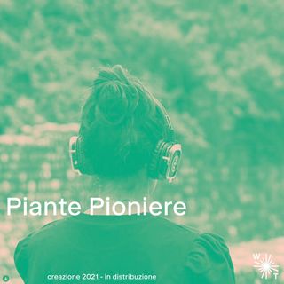 Piante Pioniere | Le piante di San Giovanni
