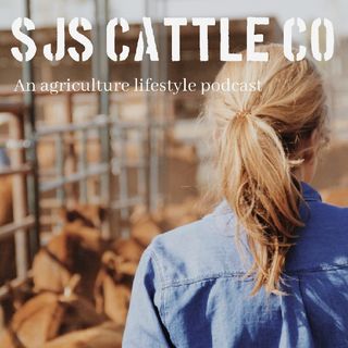 sJs Cattle Co