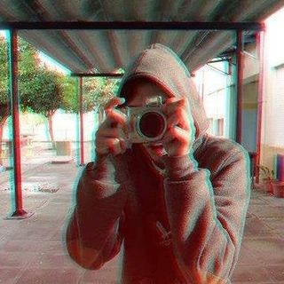 贝 尔 纳 多