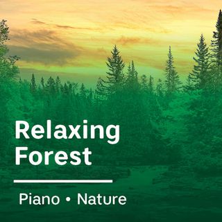 Relaxing Forest