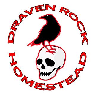 Draven Rock Homestead - New Year's Resolutions: New You? Or New Homestead?