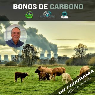 NUESTRO OXÍGENO Bonos de carbono - Francisco Ignacio Ocampo Trujillo