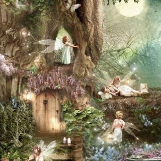 Fairys In The Mist (Blog)
