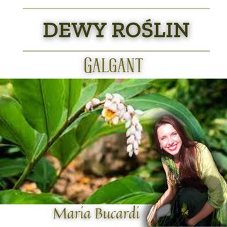 Dewa Roślin - Galgant - Potrzebujesz pewności siebie, siły, mocy? | Maria Bucardi
