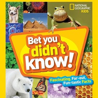 Big Blend Radio Interview: Becky Baines - National Geographic Kids "Bet You Didn't Know!"
