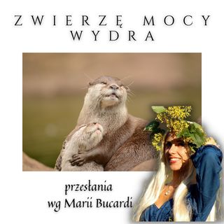 Zwierzę Mocy - Wydra - płyń z prądem życia! | Marią Bucardi