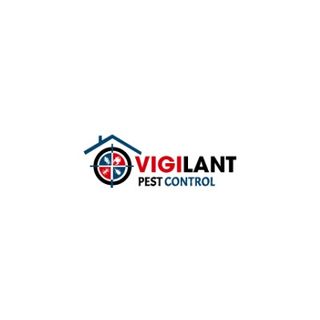 What Are the Best Termite & Pest Control Techniques in Brisbane?