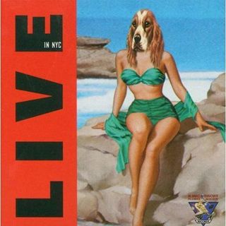 atualizando a minha playlist - ep 34 - Iggy Pop Live NYC 2000