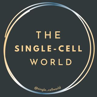 Single-Cell World