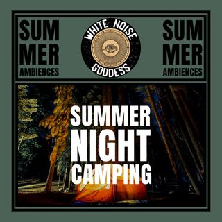 Summer Night Camping | Summer Nature Sounds | Relaxation | Meditation | Deep Sleep
