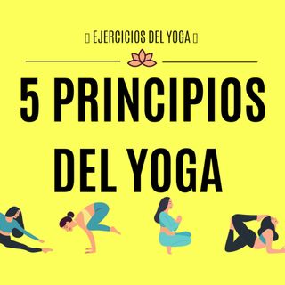 5 principios del yoga para principiantes,